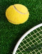 tennis-ball-court